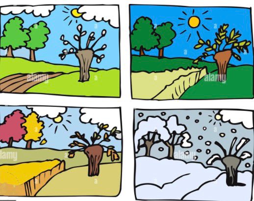 karen thompson tweet media