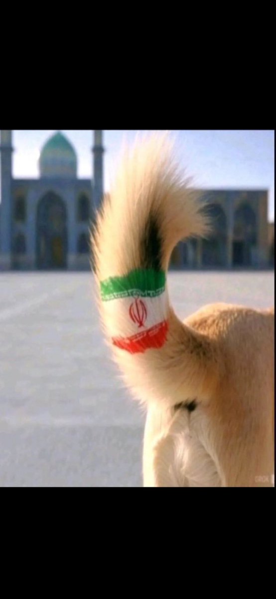 فهد 🇸🇦 tweet media