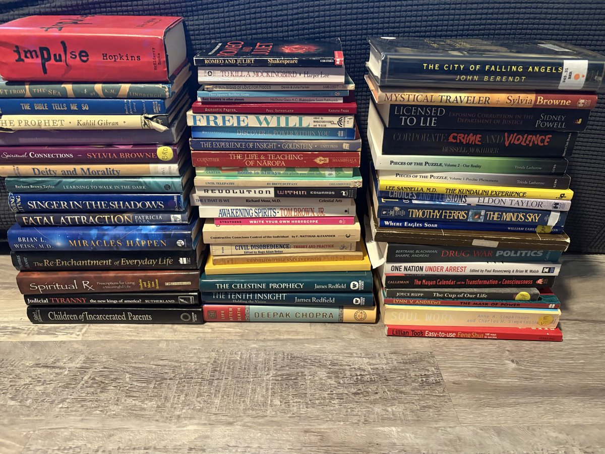 I just purchased 54 books to add to my collection. 🙂 I’m literally the happiest girl in the world rn. I can do some serious damage in the store. Lol