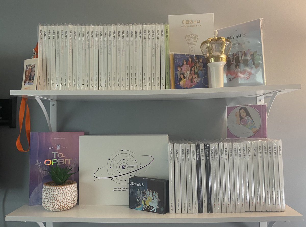 thinking about how beautiful my loona collection was