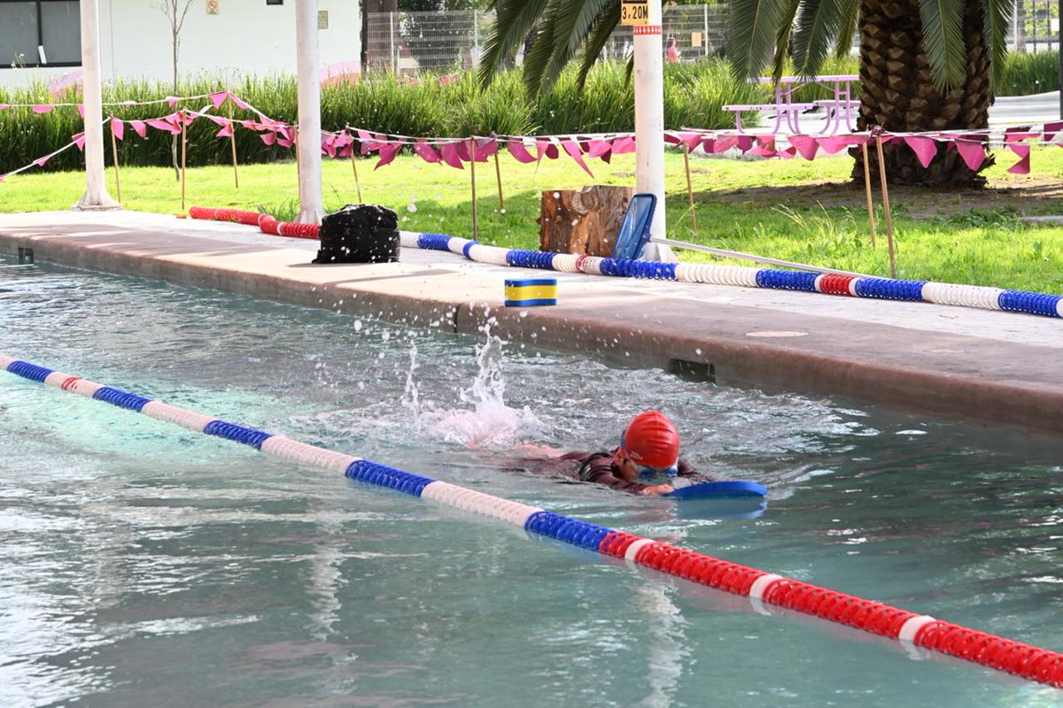 12Parrafo's tweet image. Rosi Wong impulsa clases de natación y aquafitness en Tecámac para niñas, jóvenes y adultos mayores. Inclusión y bienestar desde el Imdeporte. Más info: wix.to/zDLsdVv #Tecámac #Deporte #Natación