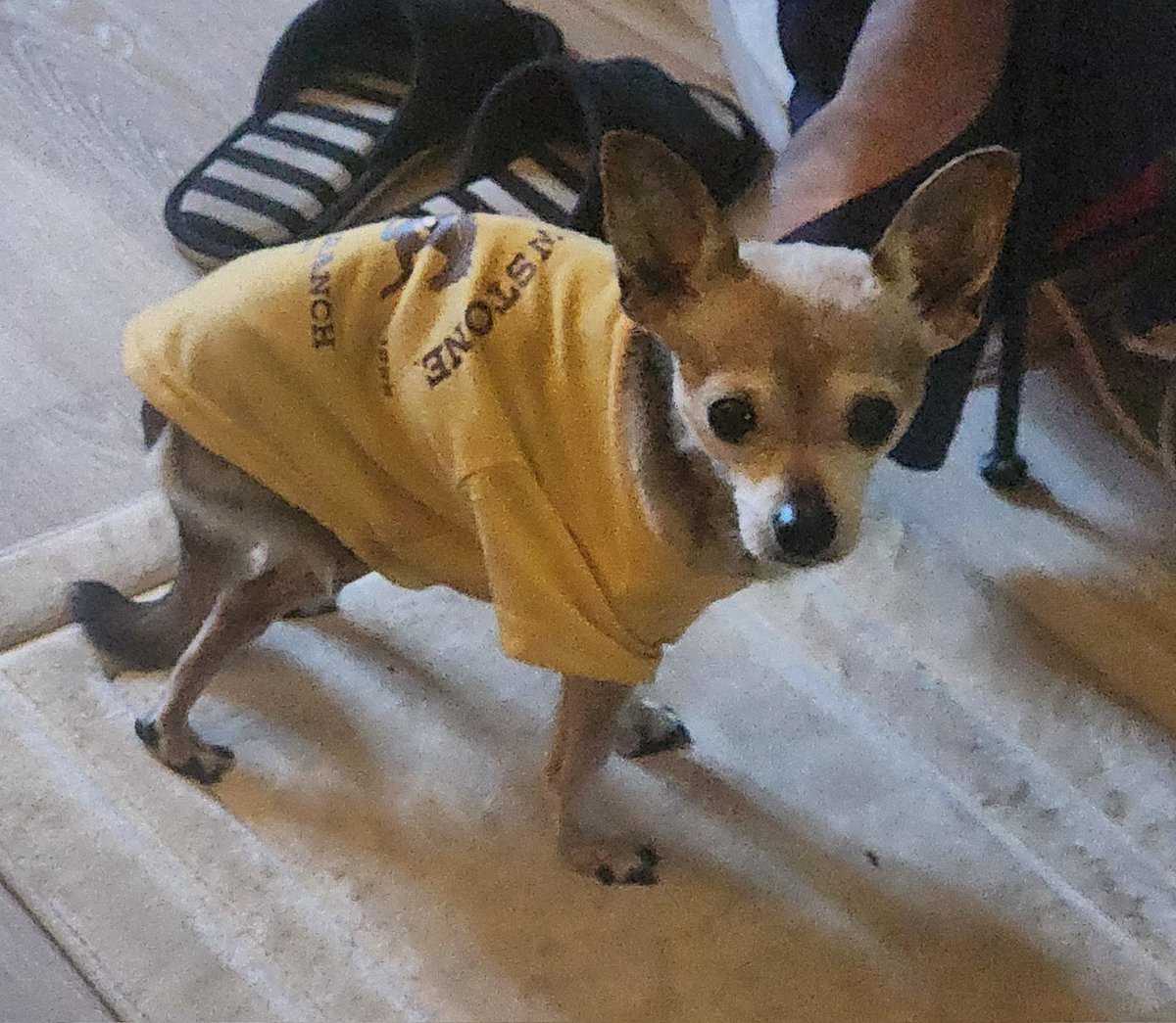 🦇Vampy🍷🌟 tweet media