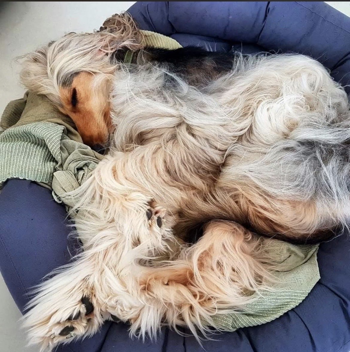Dobrou noc. 🥰
