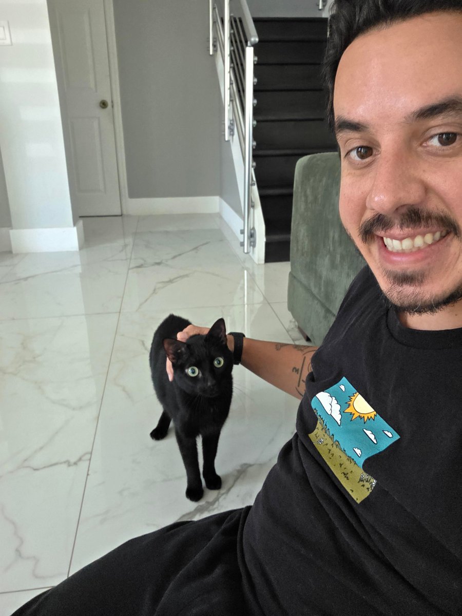 Kediler ve Köpekler tweet media