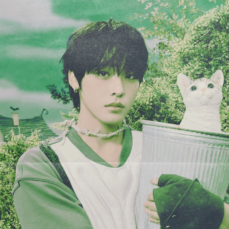 𝗬𝗶𝗰𝗵𝗲𝗻 . tweet media