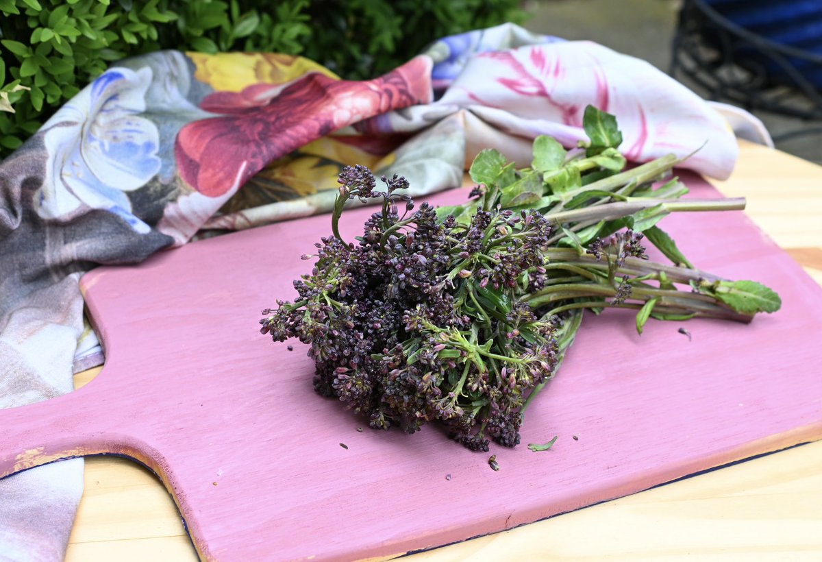 ShaziahZ's tweet image. Broccoli is notoriously tough to savor because of its bland flavor.​​​​​​​​​​​​​​​​
This is however not the case with purple broccoli — it’s currently in season and widely available. So pick some up before the season ends.
#fresh #eat #season