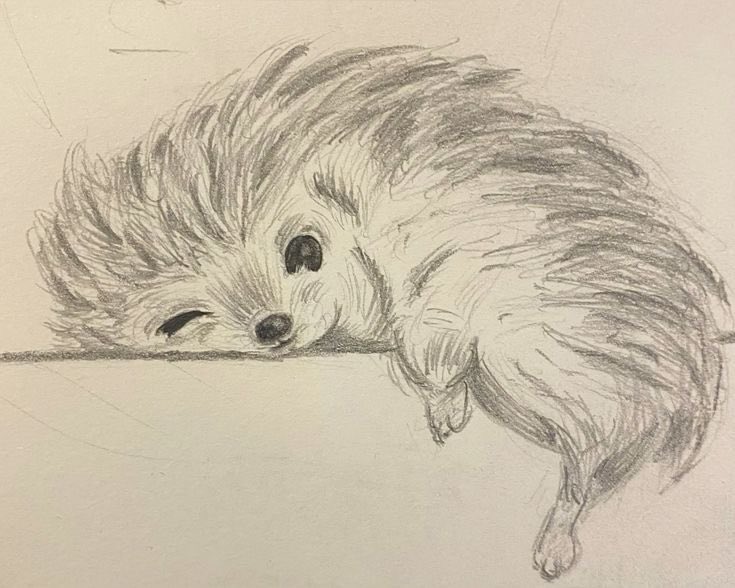 Mrs. Ghost Studio tweet media