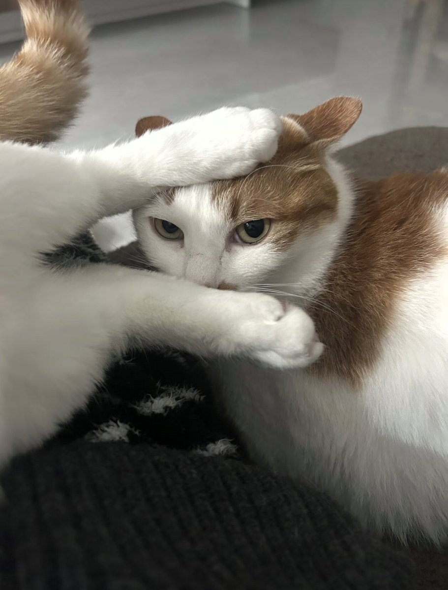 Kathleen tweet media