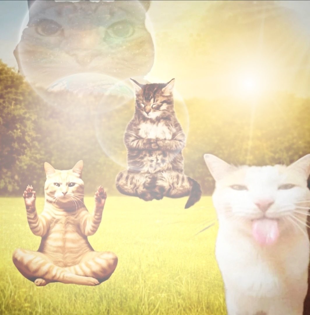 ommmmm 🧘🏻‍♀️🧘🏻‍♀️ommm🧘🏻‍♀️🧘🏻‍♀️o🧘🏻‍♀️mmm🧘🏻‍♀️ommommommm ommm oommmmm🧘🏻‍♀️🧘🏻‍♀️🧘🏻‍♀️🧘🏻‍♀️ooommm🧘🏻‍♀️m🧘🏻‍♀️ om🧘🏻‍♀️om🧘🏻‍♀️mmm🧘🏻‍♀️🧘🏻‍♀️ommmm🧘🏻‍♀️ ommm ommmm🧘🏻‍♀️ ommmm🧘🏻‍♀️🧘🏻‍♀️🧘🏻‍♀️🧘🏻‍♀️