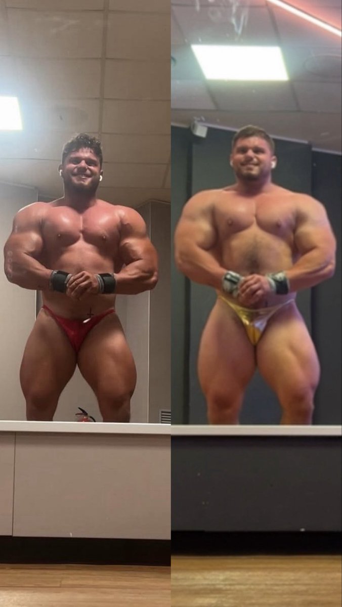 ProudBulge tweet media