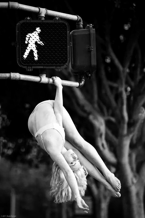 Elixir_of_Art tweet media