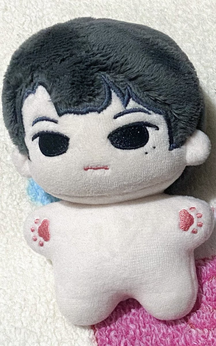 shin 🌟 tweet media