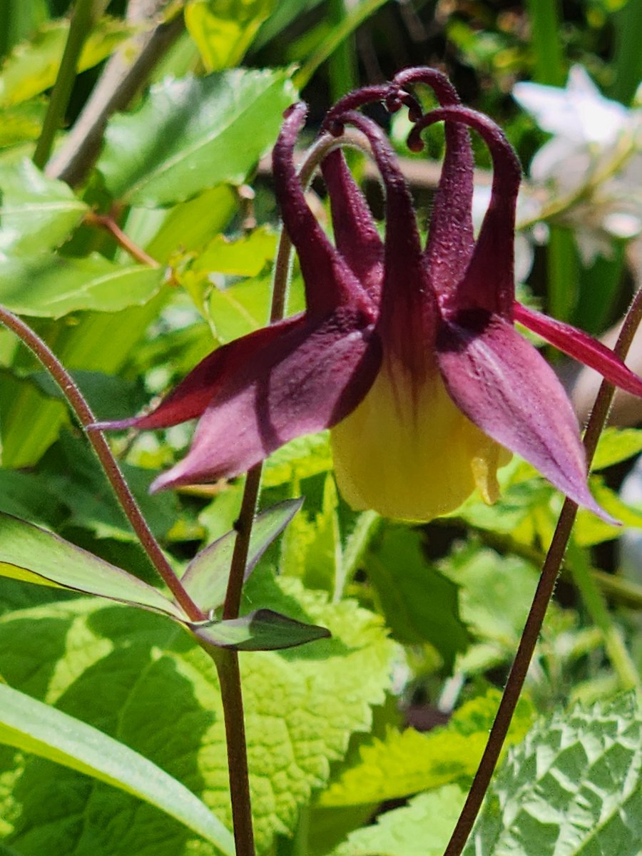 髭さん tweet media