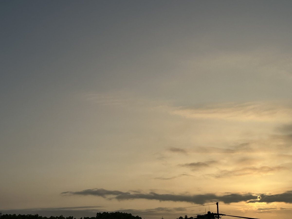 komorinookite tweet media