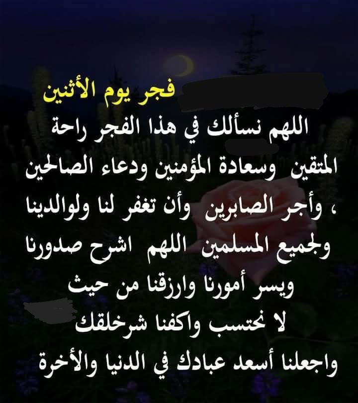 بدر الهاجري tweet media