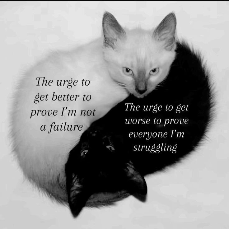 شادی tweet media