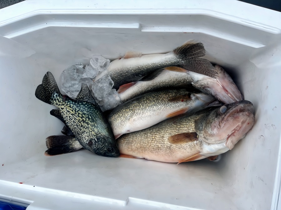 R & J Bass Fishing News and Updates tweet media