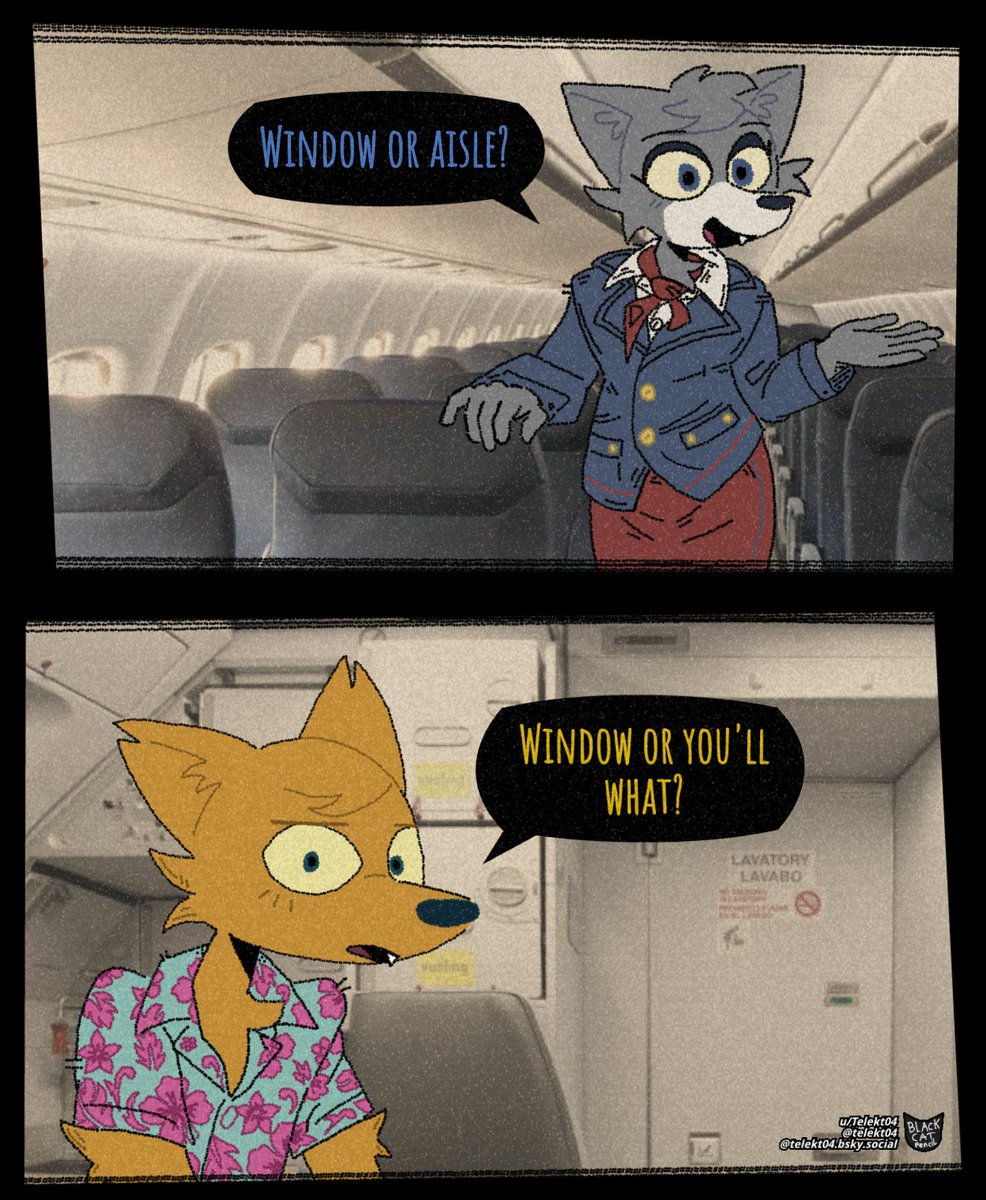 Black Kat tweet media