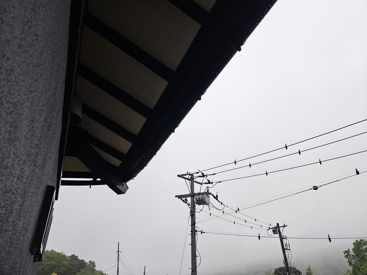 いずのすけ🚴 tweet media