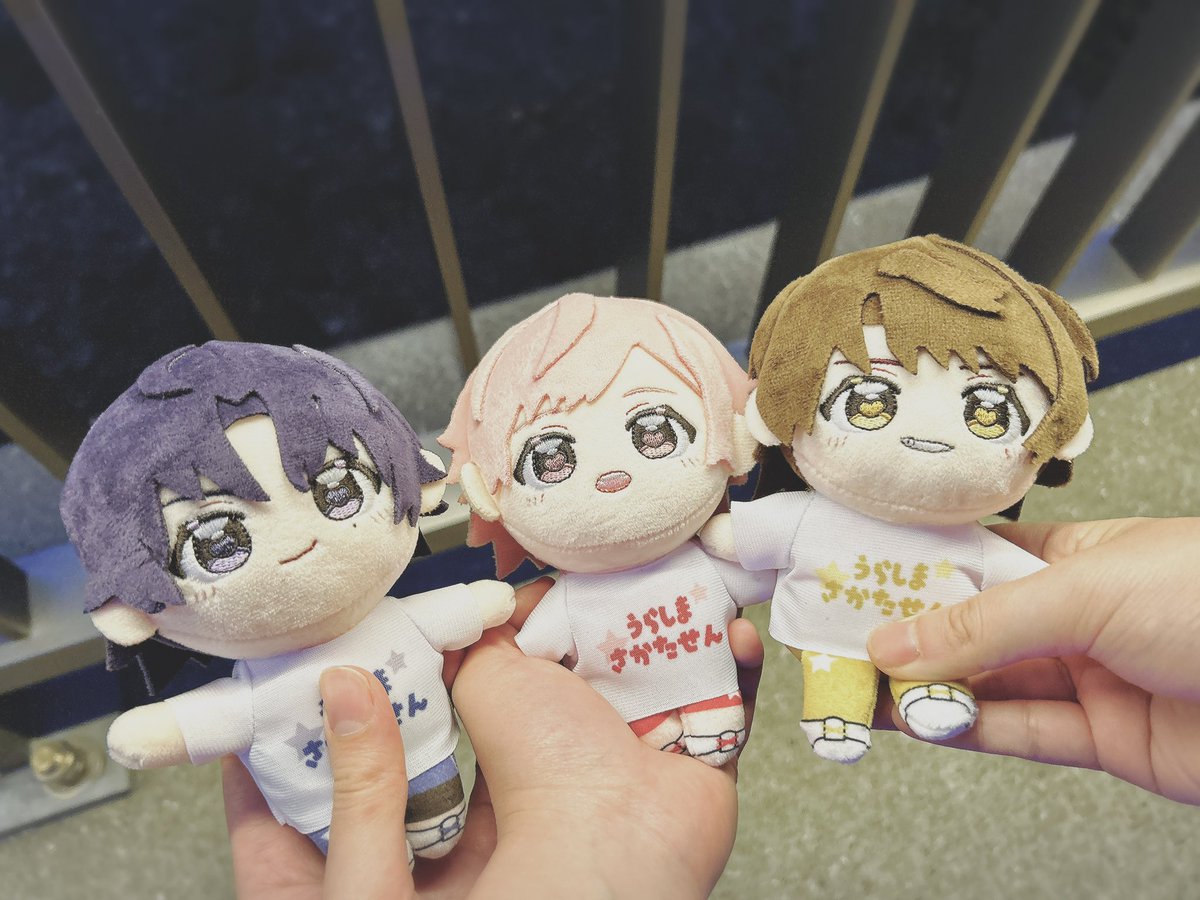 ミモザ⚜️🐈🐾春ツ余韻 tweet media