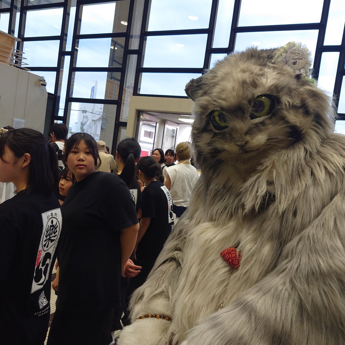 樂フェス行った。
楽しかった。
いろいろ良かったけど
語らない。
色々良かったから。
<a href="/ayaneshu_GAKU/">彩響衆　樂　/あやねしゅう　がく/愛知県/一宮市/和太鼓</a>