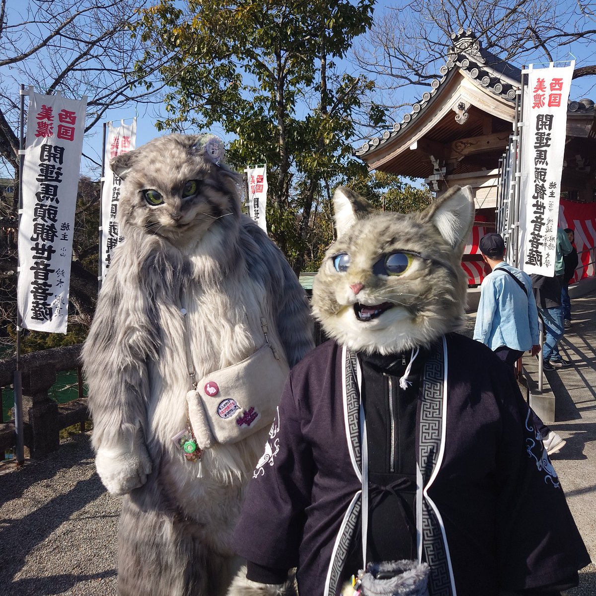 ほのぼの
#マヌルネコの雷流 <a href="/lailcats/">雷流</a> #山田三毛猫ファミリー #マヌルネコ