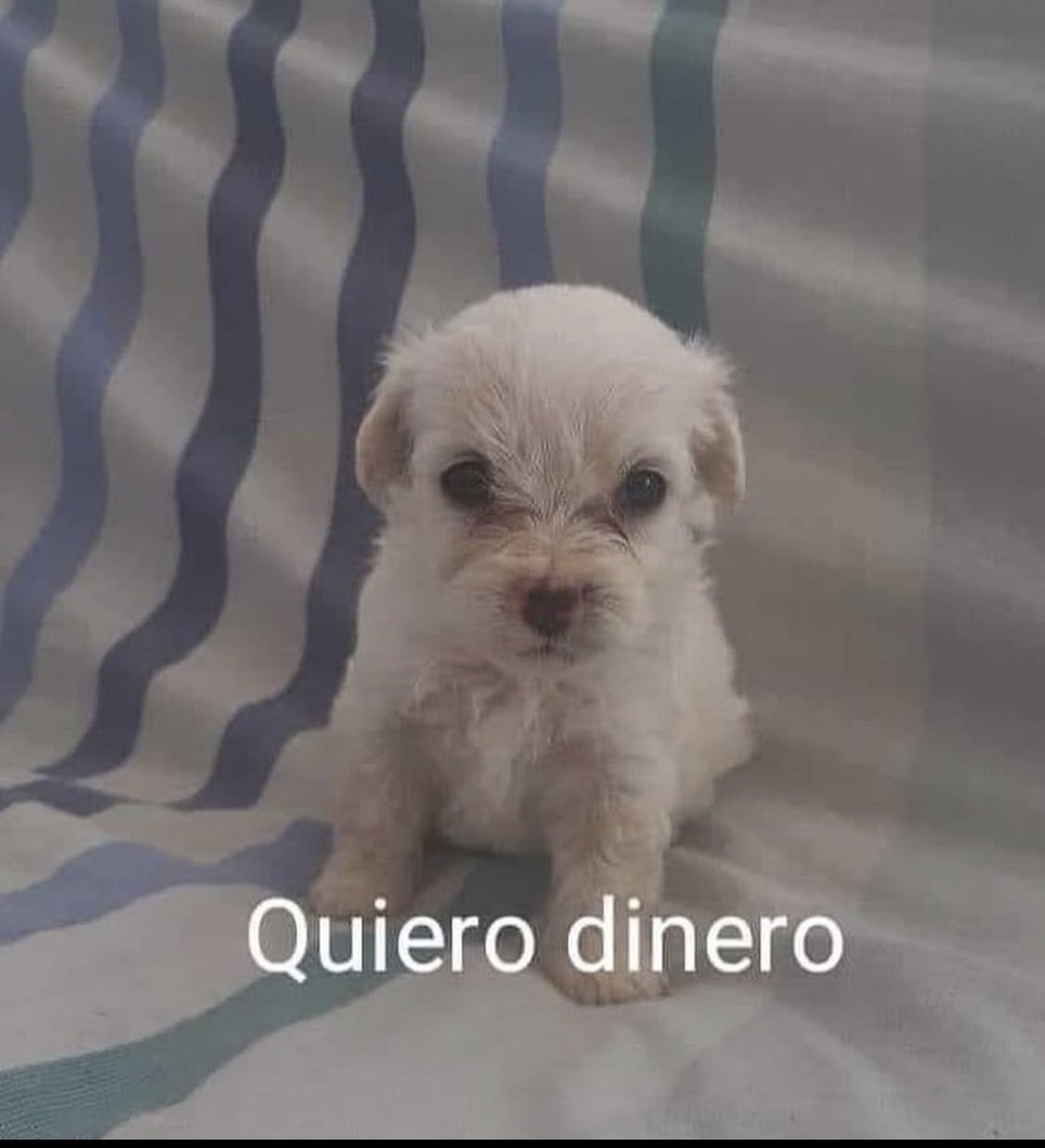 Yo hablándole al universo.