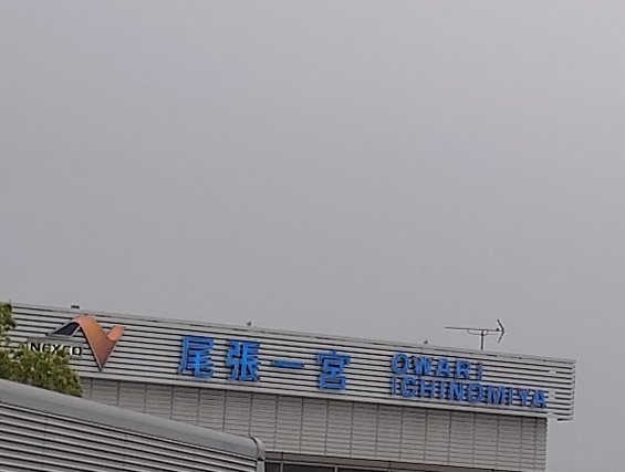 Banban ねこ🐱 tweet media