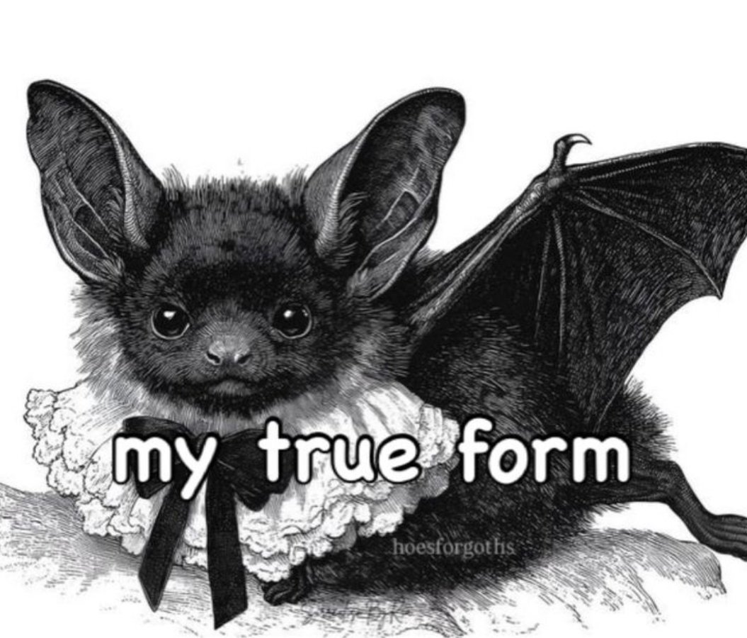 𝙨t𝙧𝗼𝗇𝗴𝗲𝙨t 𝖼𝗎𝗹𝗹𝗲𝗇 tweet media