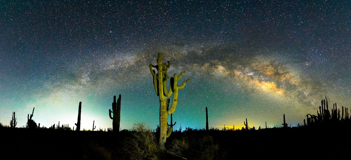 Gerardo L Gerardo-Fotografia tweet media