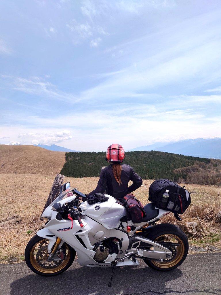 タレちゃん🏍 tweet media
