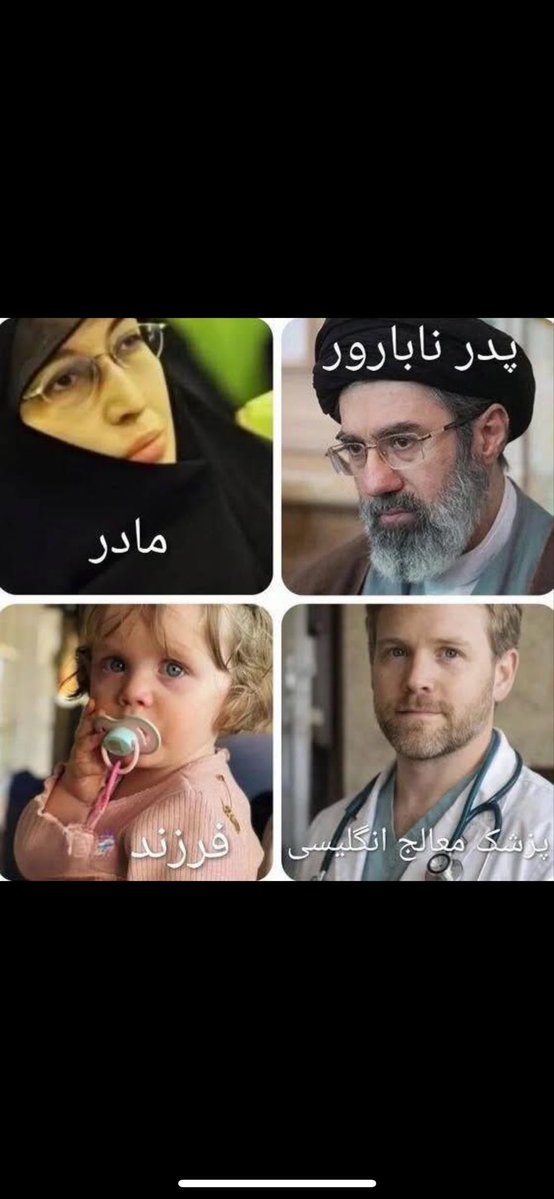 فعال سیاسی پادشاهی خواه tweet media