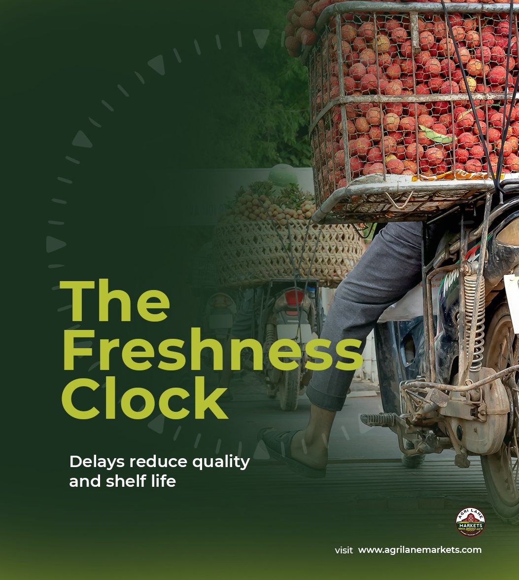 AgriLaneMarkets's tweet image. Fresh produce doesn’t wait.

Every delay reduces quality and shelf life.

In supply chains, time = risk.

#AgriBusiness #SupplyChain #Food