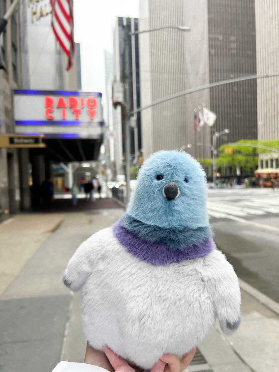 lexi ♡ ᱬ tweet media