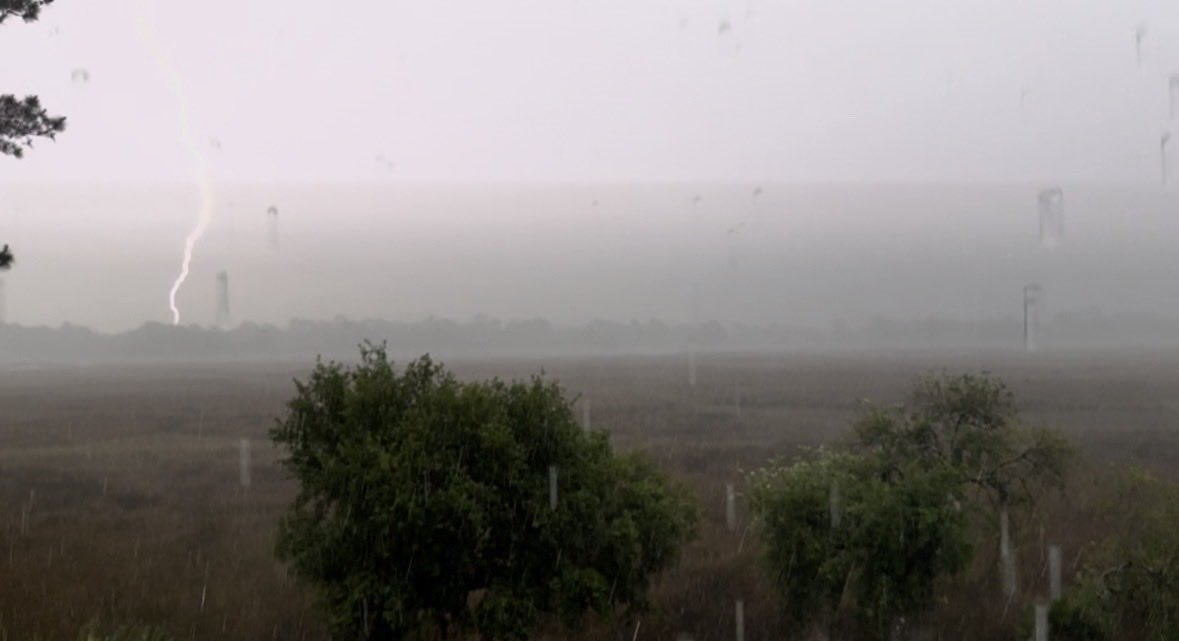 jnelsonWJCL's tweet image. First time seeing lightning and hearing thunder in at least a month. #Savannah