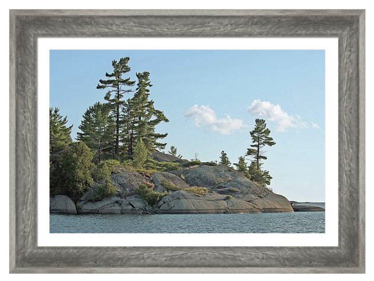 shonna99784's tweet photo. Captured from the tranquil waters of Georgian Bay near the community of Britt, Ontario, this photograph embodies the rugged, enduring spirit of the Canadian wilder…🛒 ⬇️
Windswept - The Pines of Britt https://t.co/HnH4B8vc58
#Windswept
#WhitePines
#GeorgianBay
#BrittOntario https://t.co/OQc07tIUfp