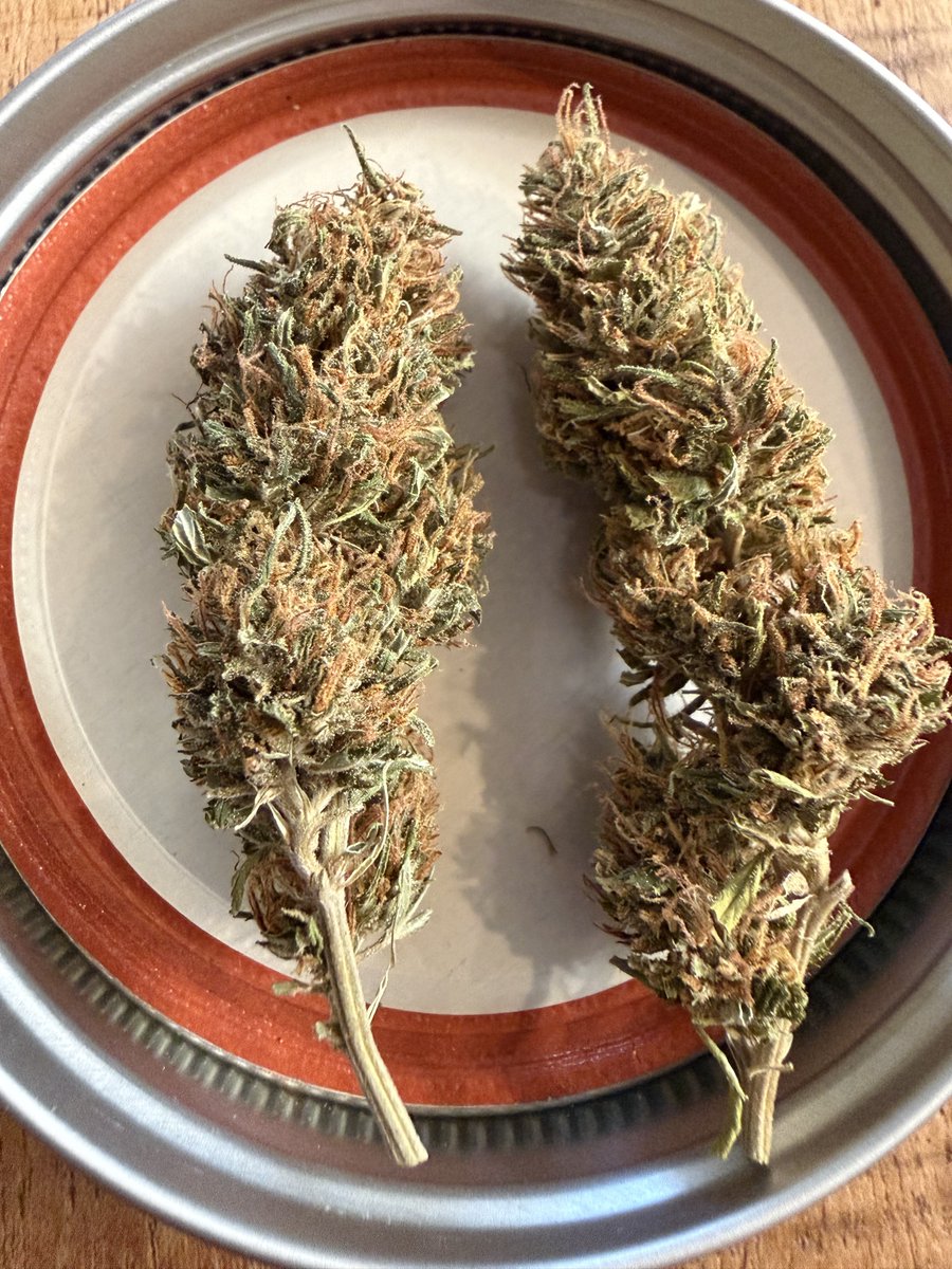 bobby caliente 🔥 tweet media