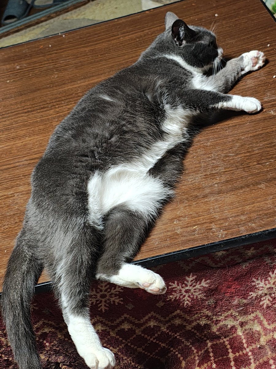 山河童 tweet media