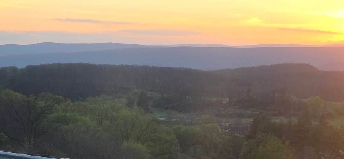 Kello ✨ tweet media