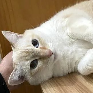 Renee' Martin tweet media