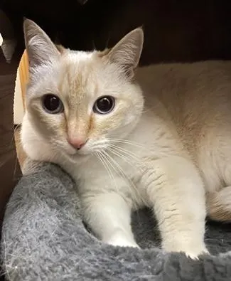 Renee' Martin tweet media