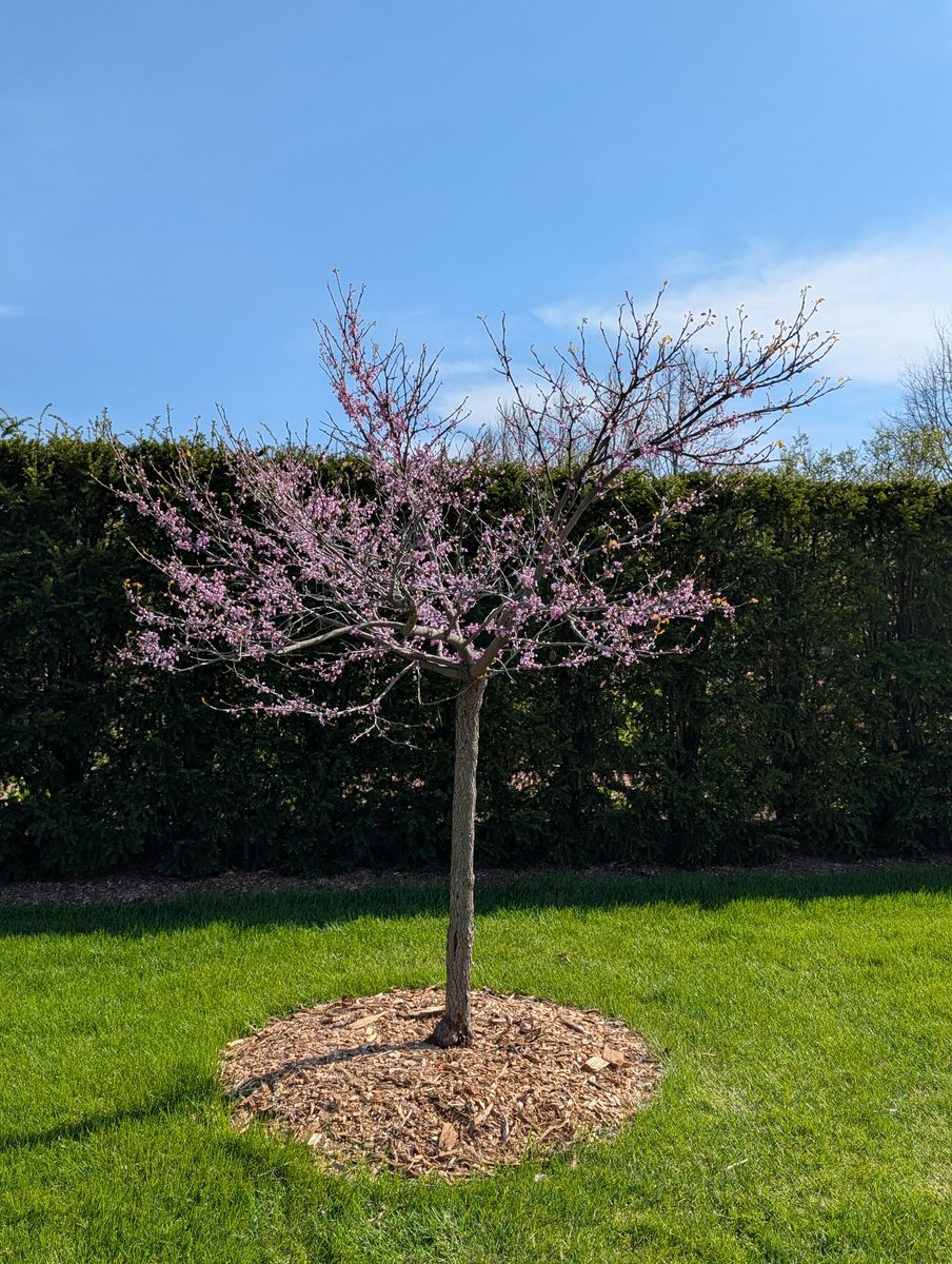 PKA 🔻 tweet media