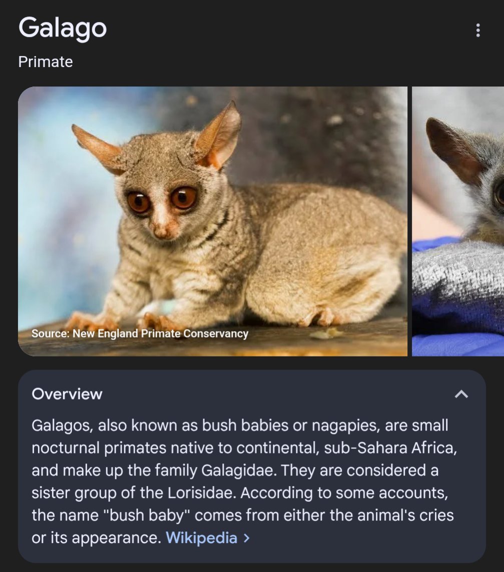 Christophy Barth tweet media