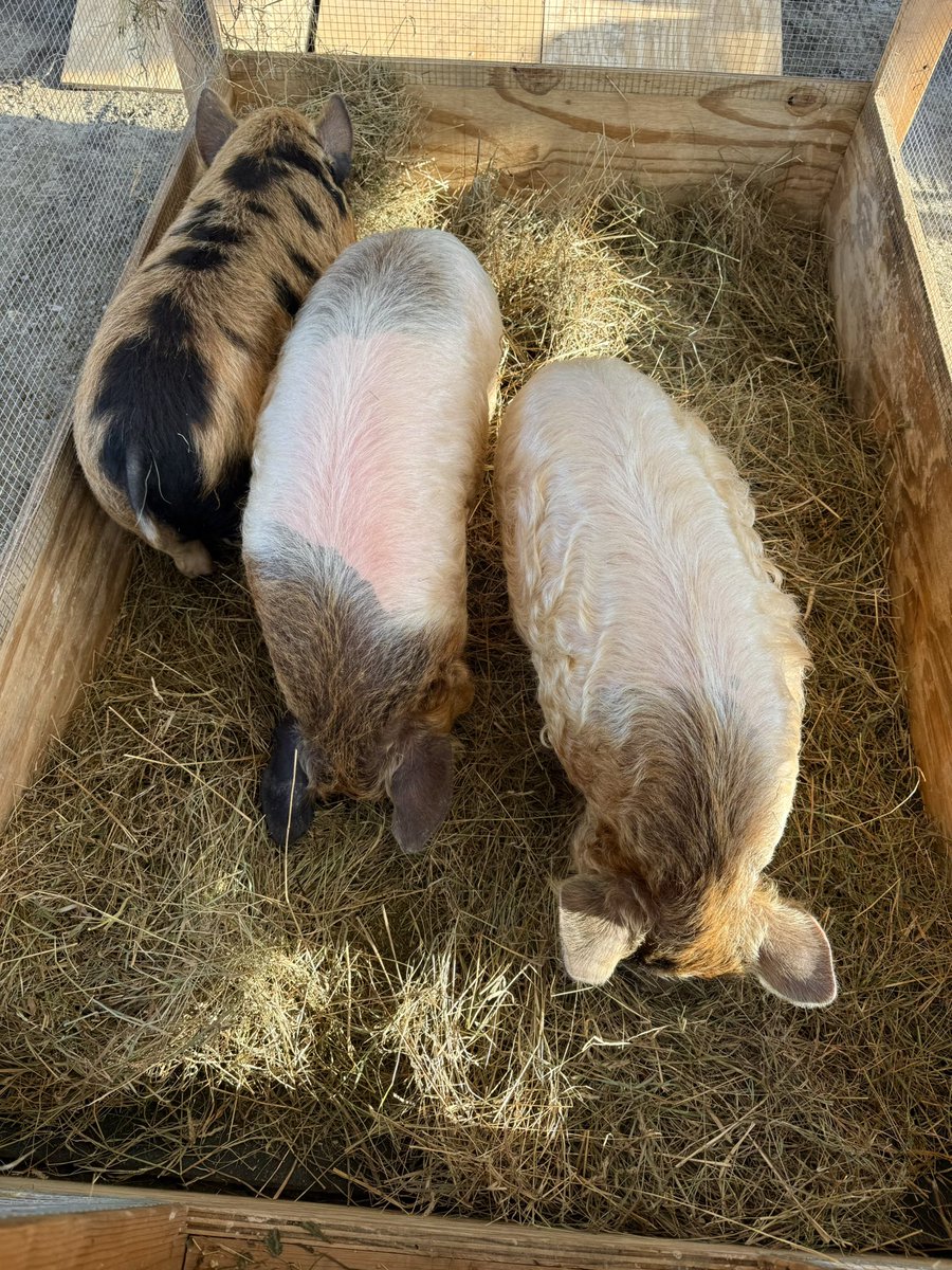 Dave Fleming tweet media