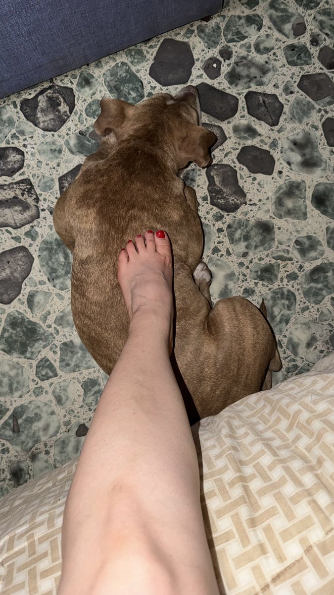 Goddess Soler tweet media