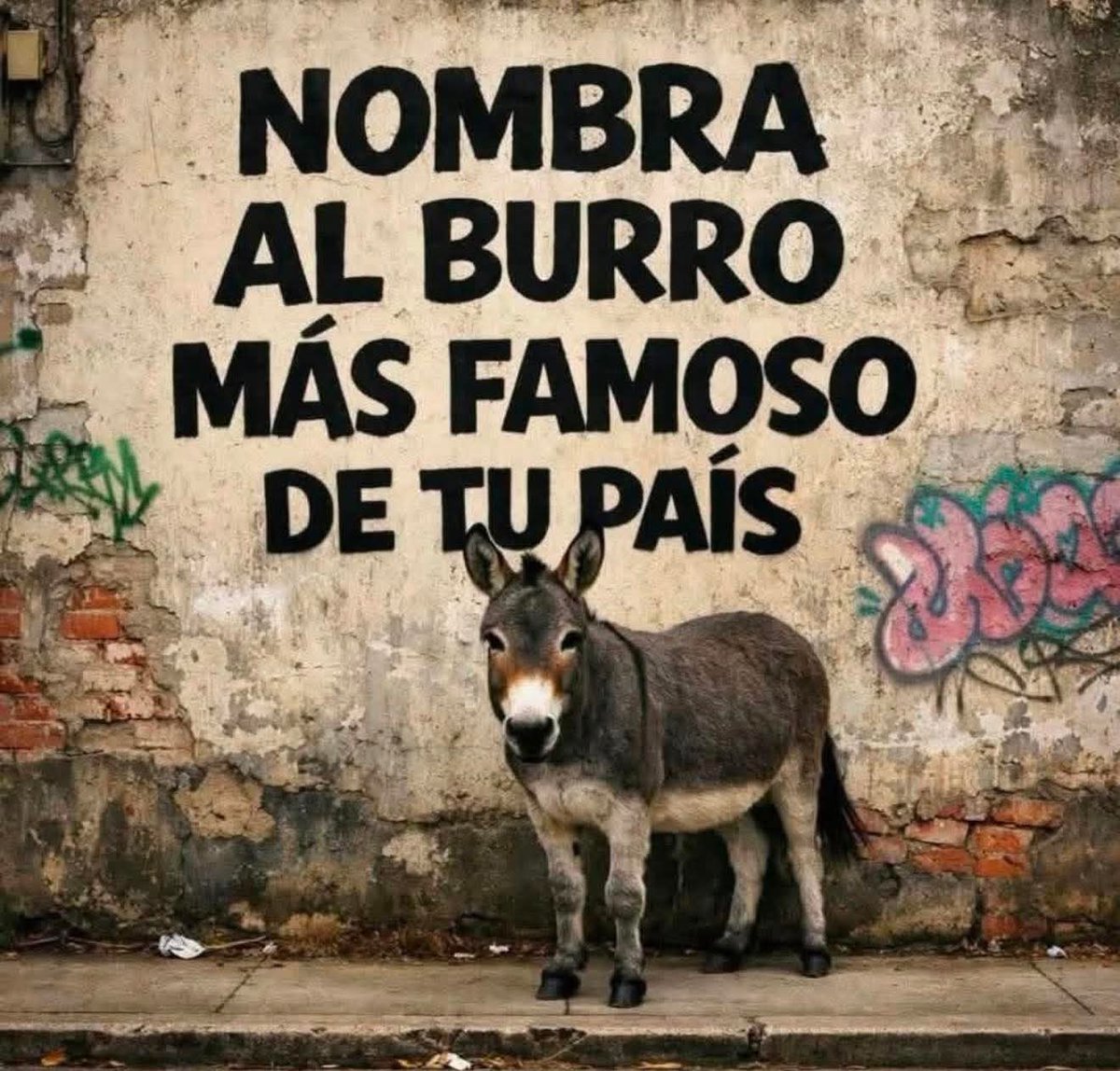 María José Torres⚒️ tweet media