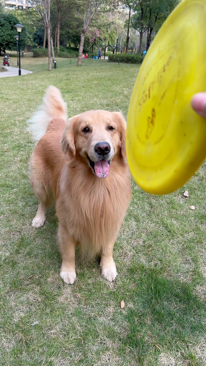 nimishadalja tweet media