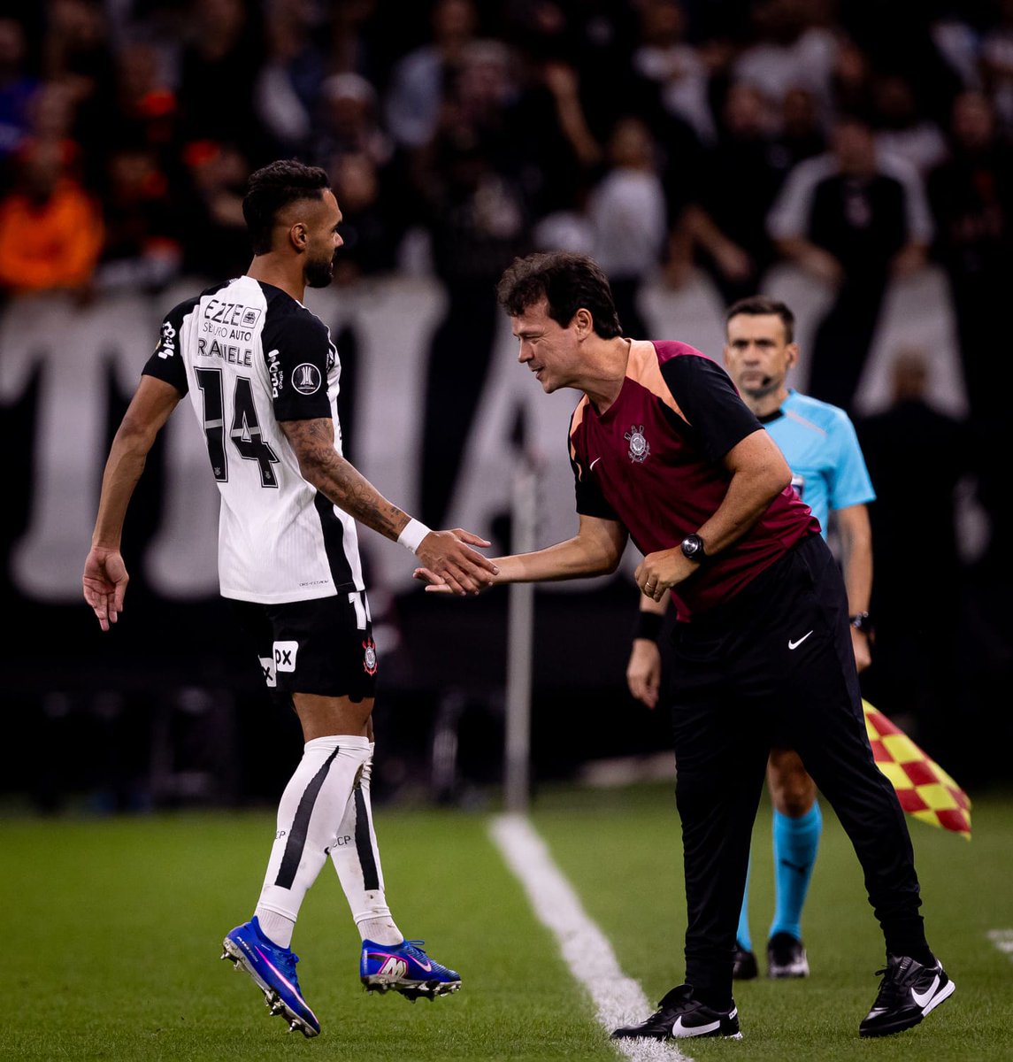 Venê Casagrande tweet media