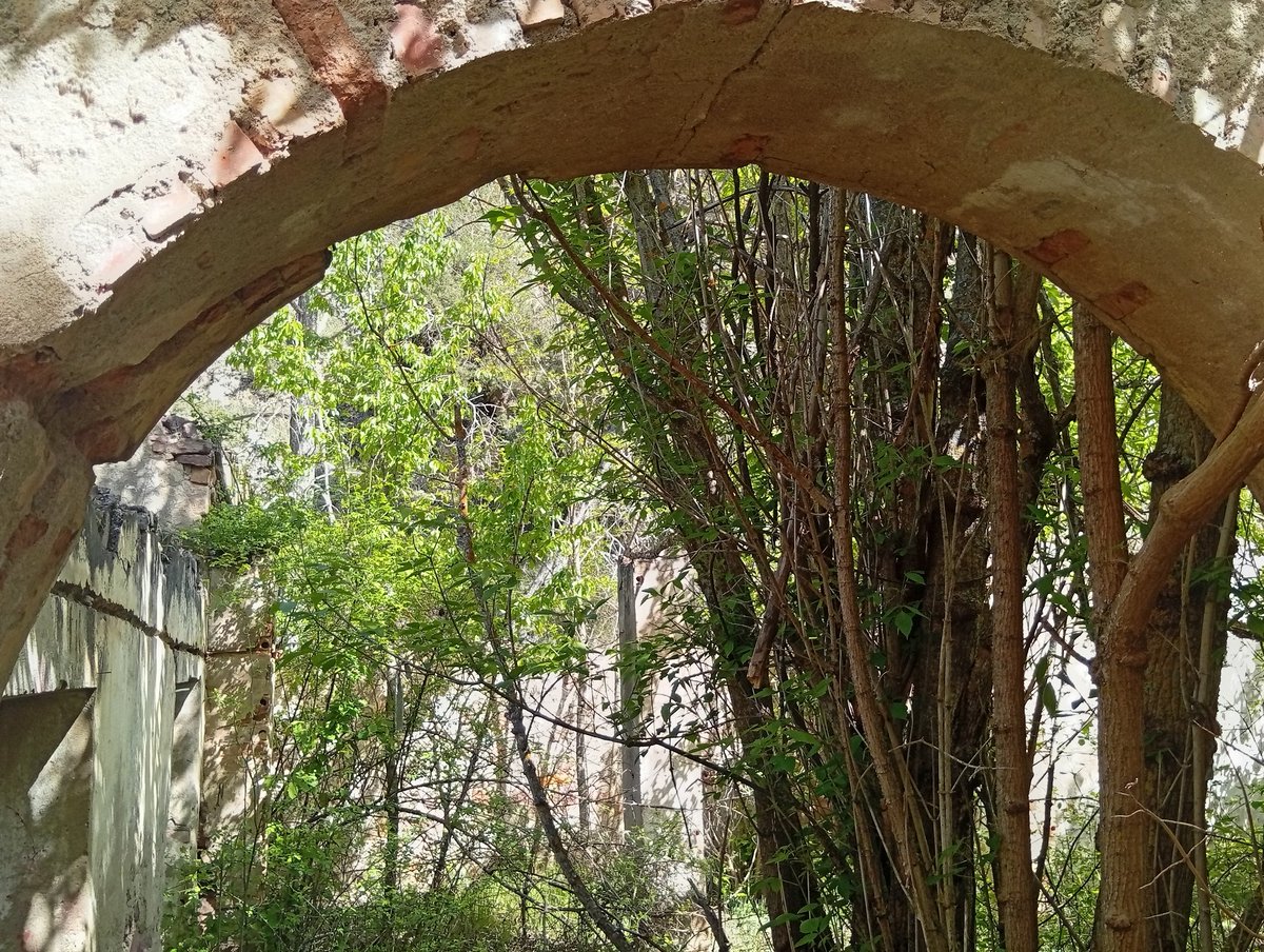 Francisco Vázquez tweet media