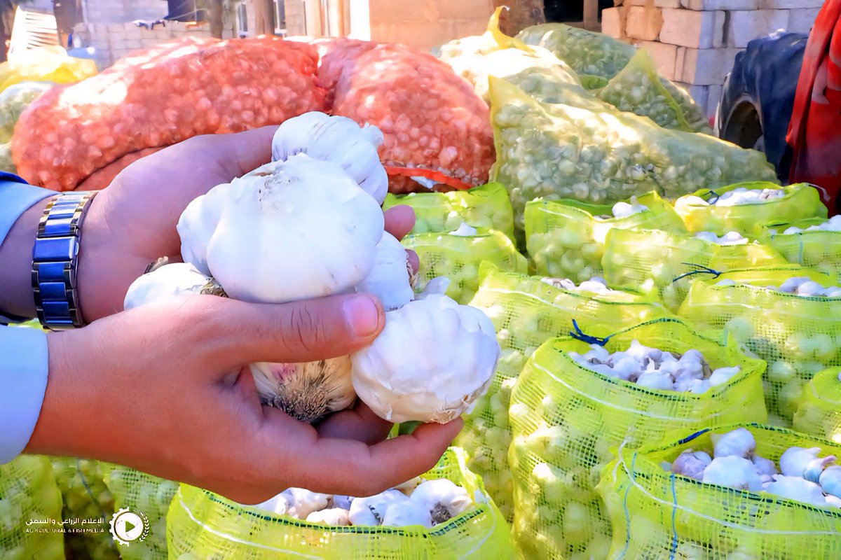 الجبهة الاقتصادية اليمنية tweet media